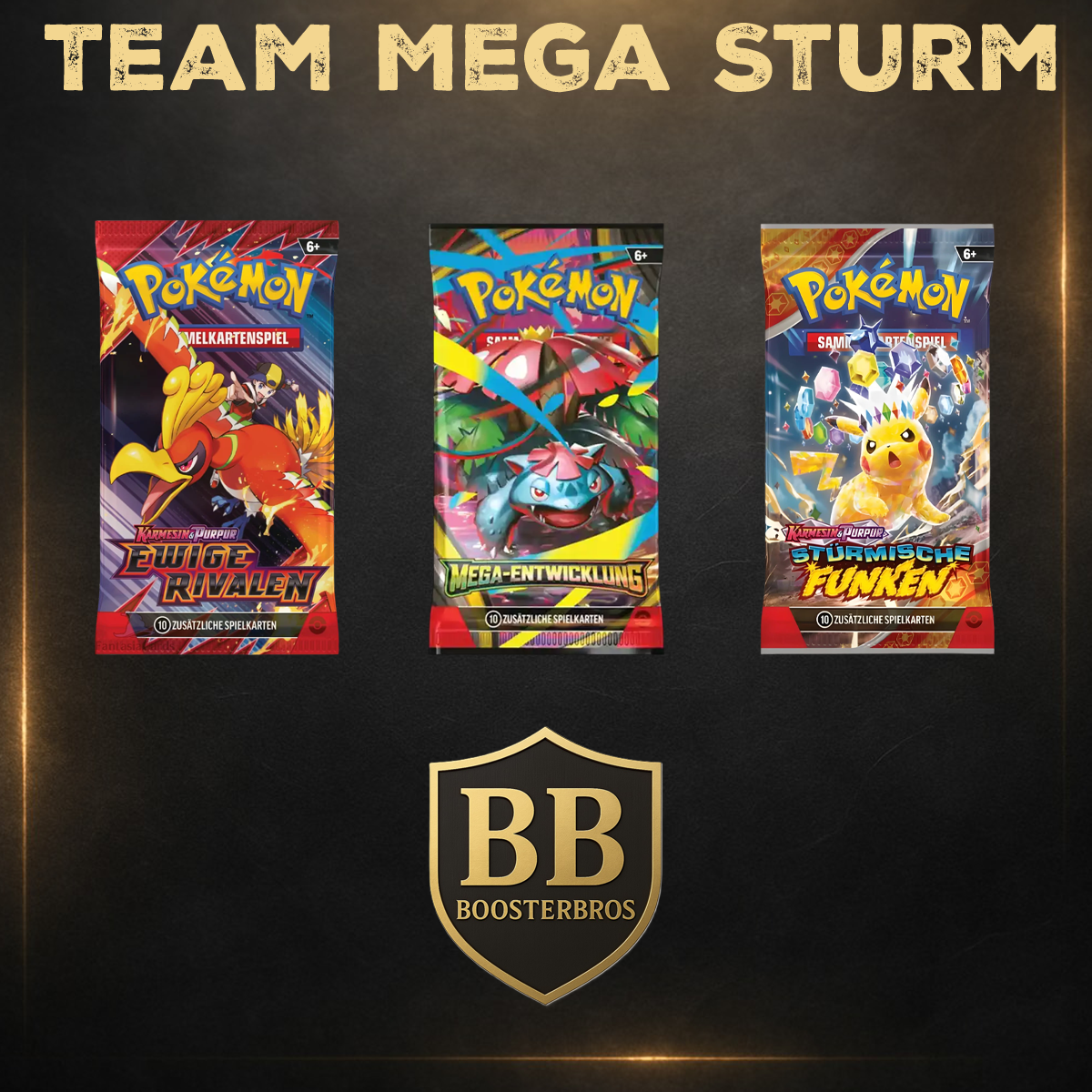 Team Mega Sturm